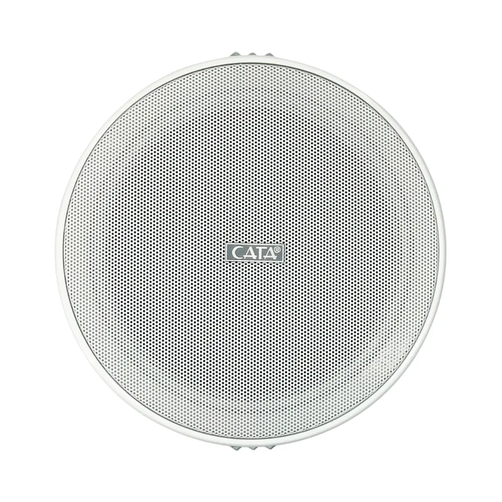Cata Sıvaaltı 14cm Balastlı Hoparlör 30W CT-9139 - 1