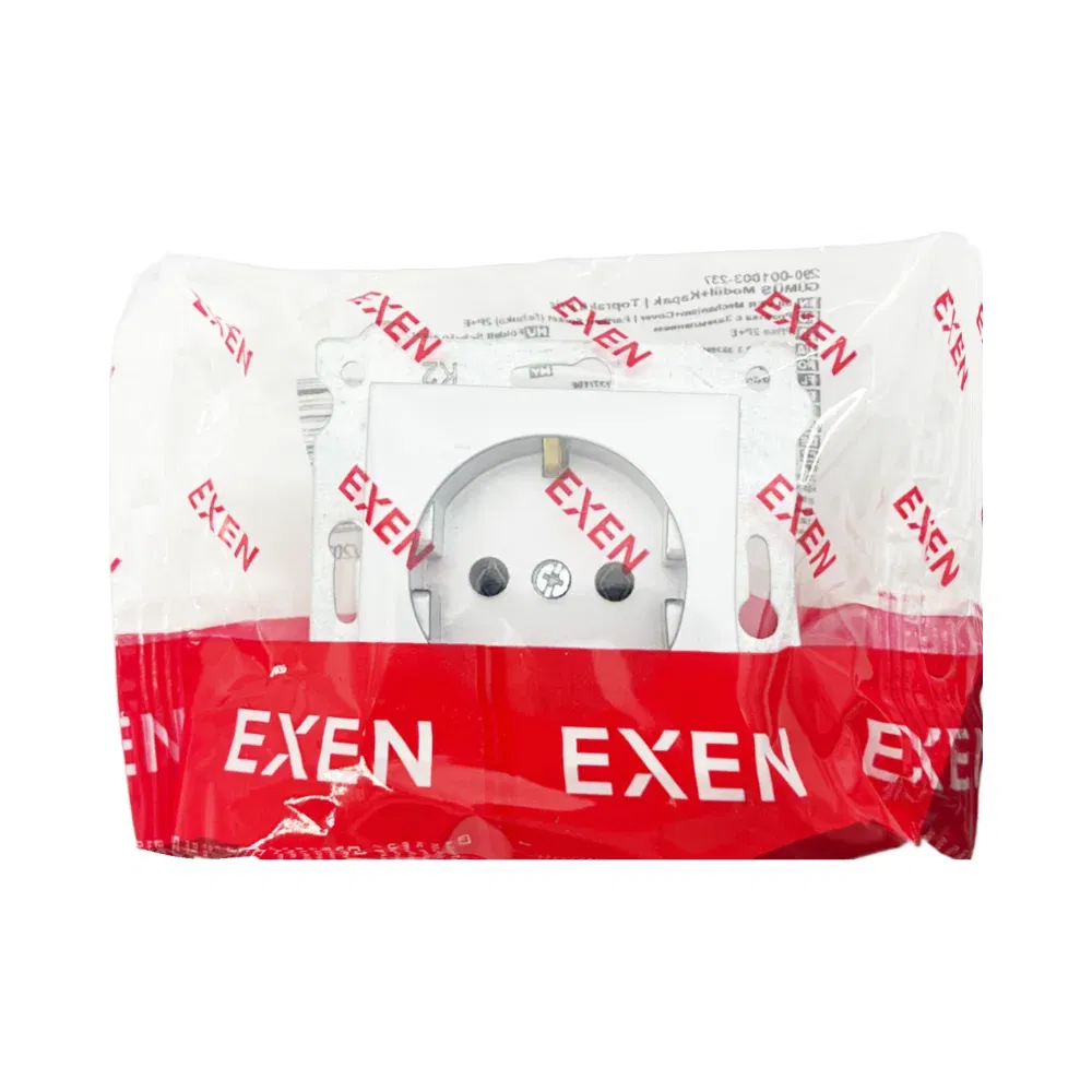 Exen Karell Topraklı Priz Mekanizma Gümüş (Çerçeve Hariç) - 3