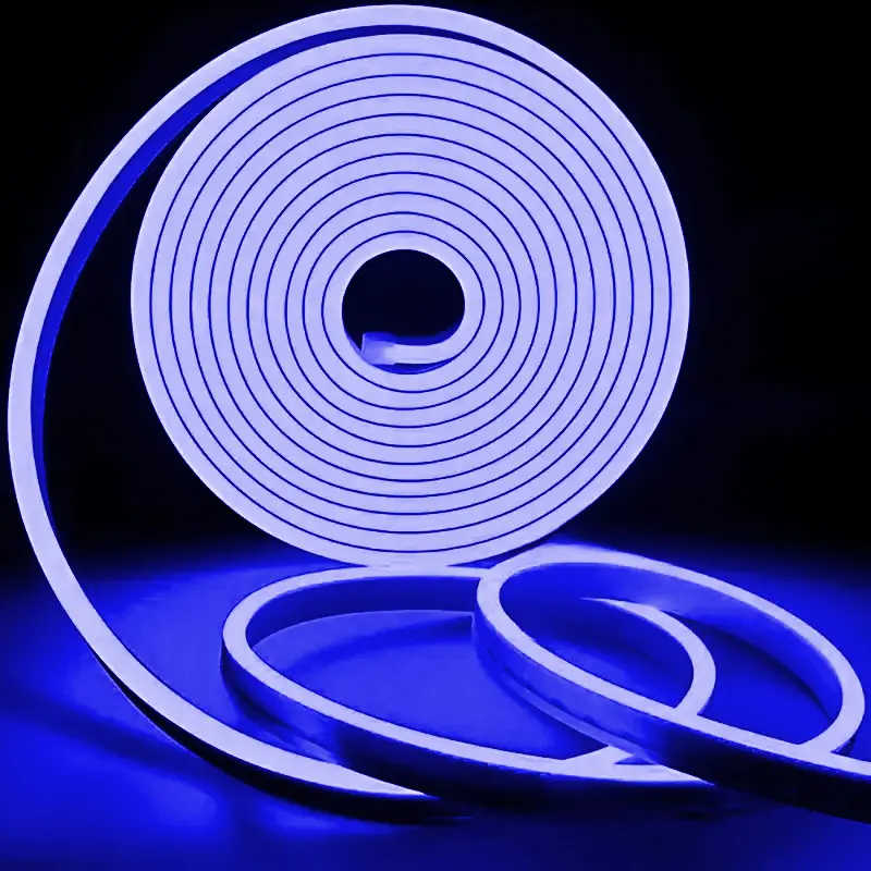 Horoz 12V Dış Mekan Neon Led-5m (Mavi) - 1