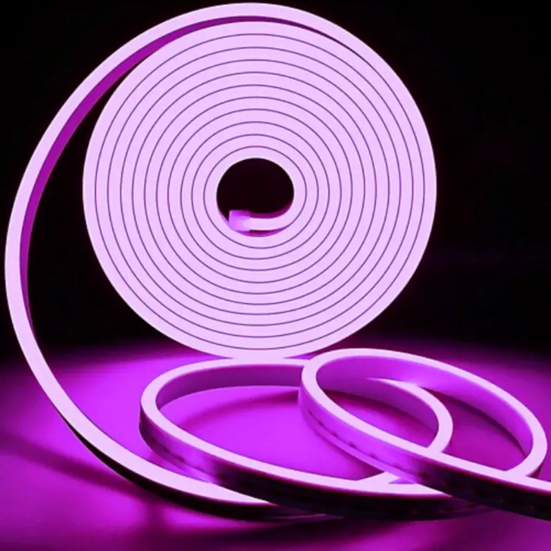 Horoz 12V Dış Mekan Neon Led-5m (Mor) - 1