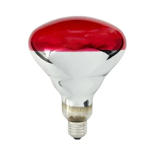 Ledvance 250W Halojen İnfrared Isı Ampulü E27 Duy - 1